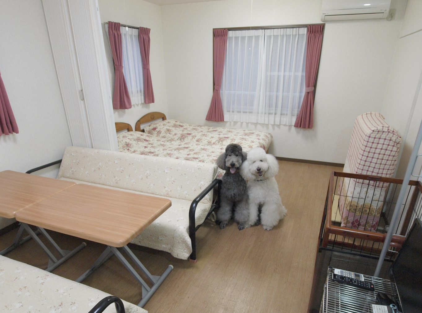 コンドミニアム フラットレット草津