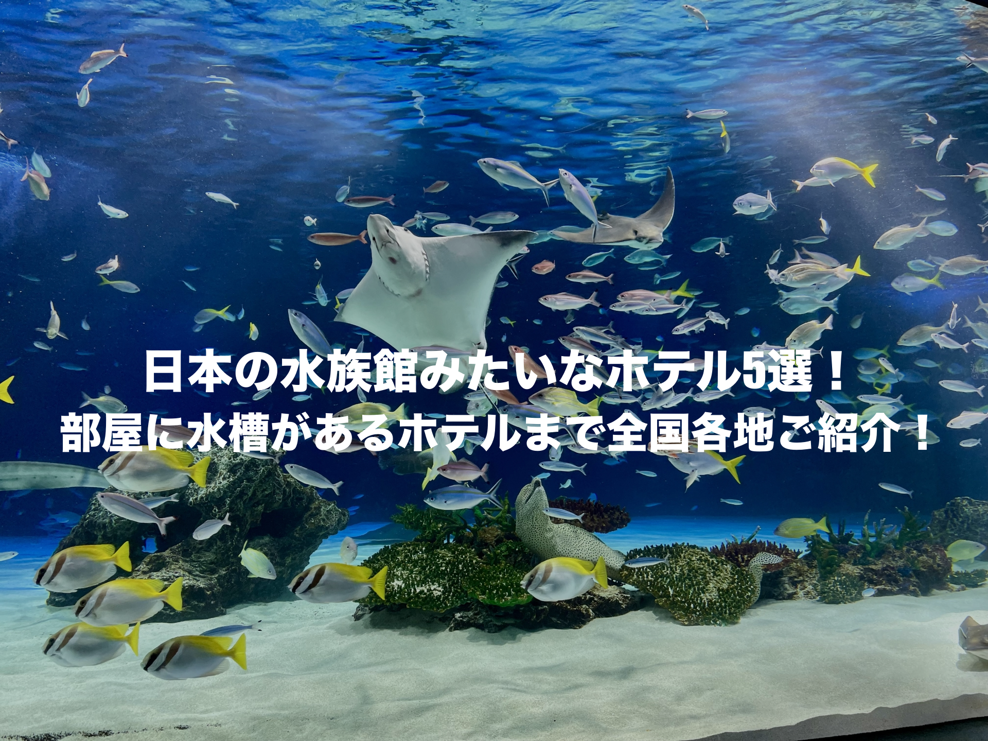 水族館みたいなホテル 日本