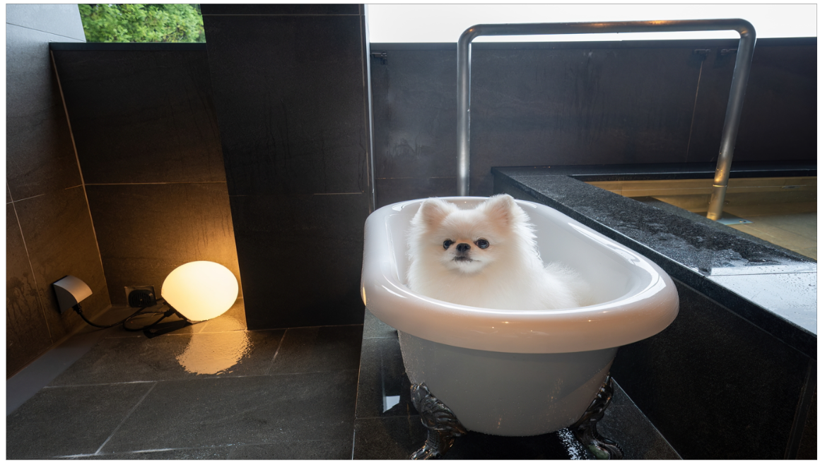 伊香保温泉　Doggyスイート　ペロ