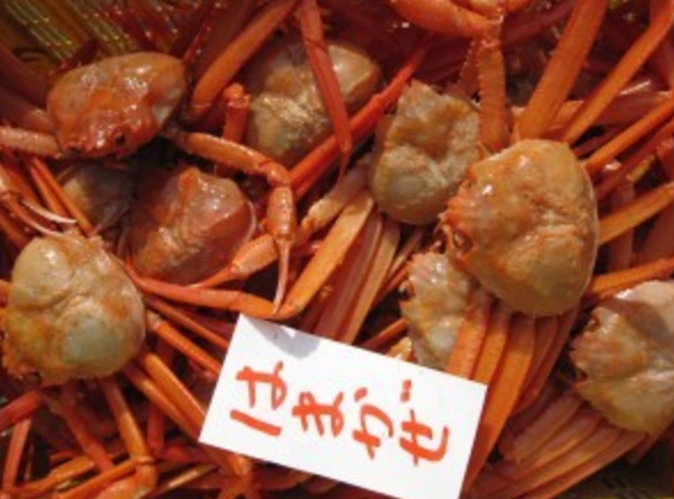 温泉民宿 はまかぜ荘