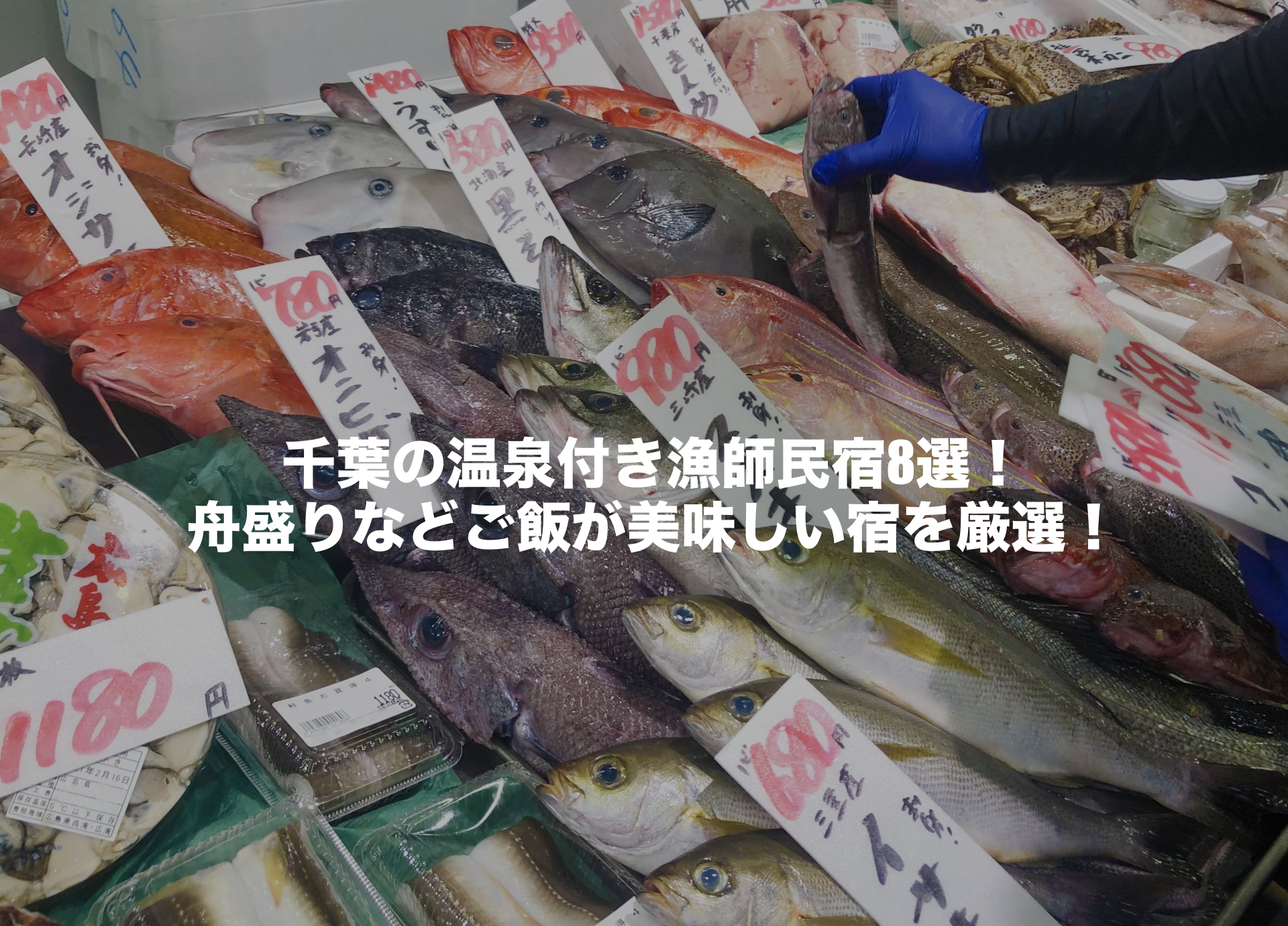 千葉 民宿 漁師 温泉