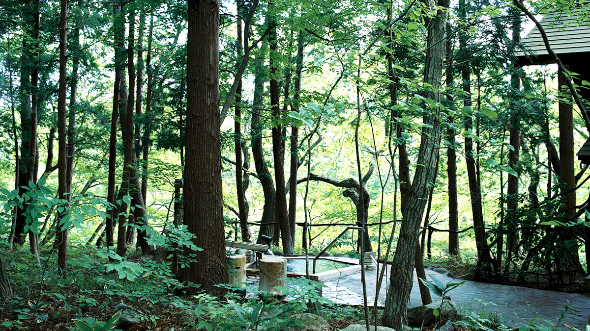 温泉山荘 だいこんの花