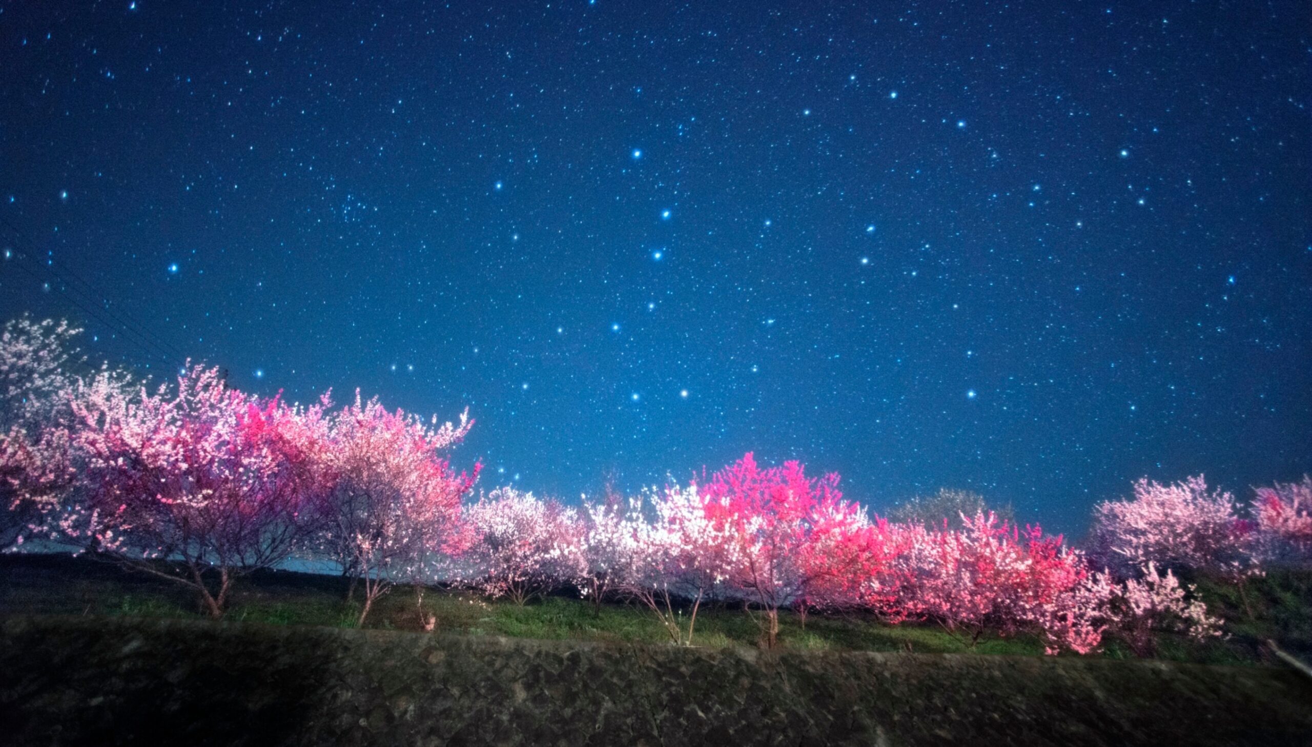昼神温泉郷 懐石と炉ばたの宿 吉弥