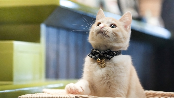 鉄輪温泉 かんなわ ゆの香