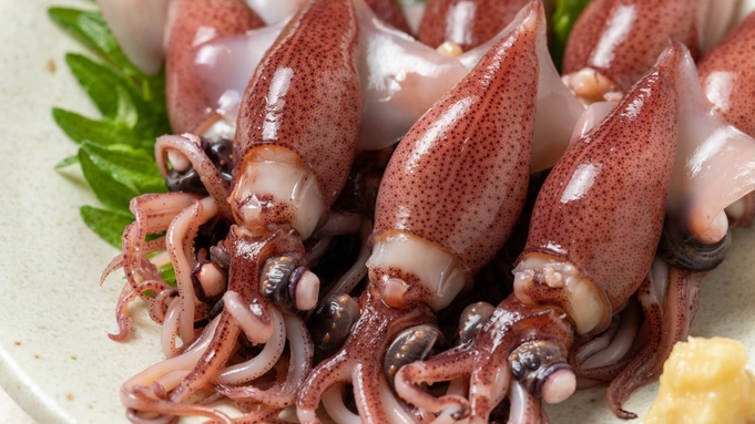 氷見温泉郷民宿いけもり